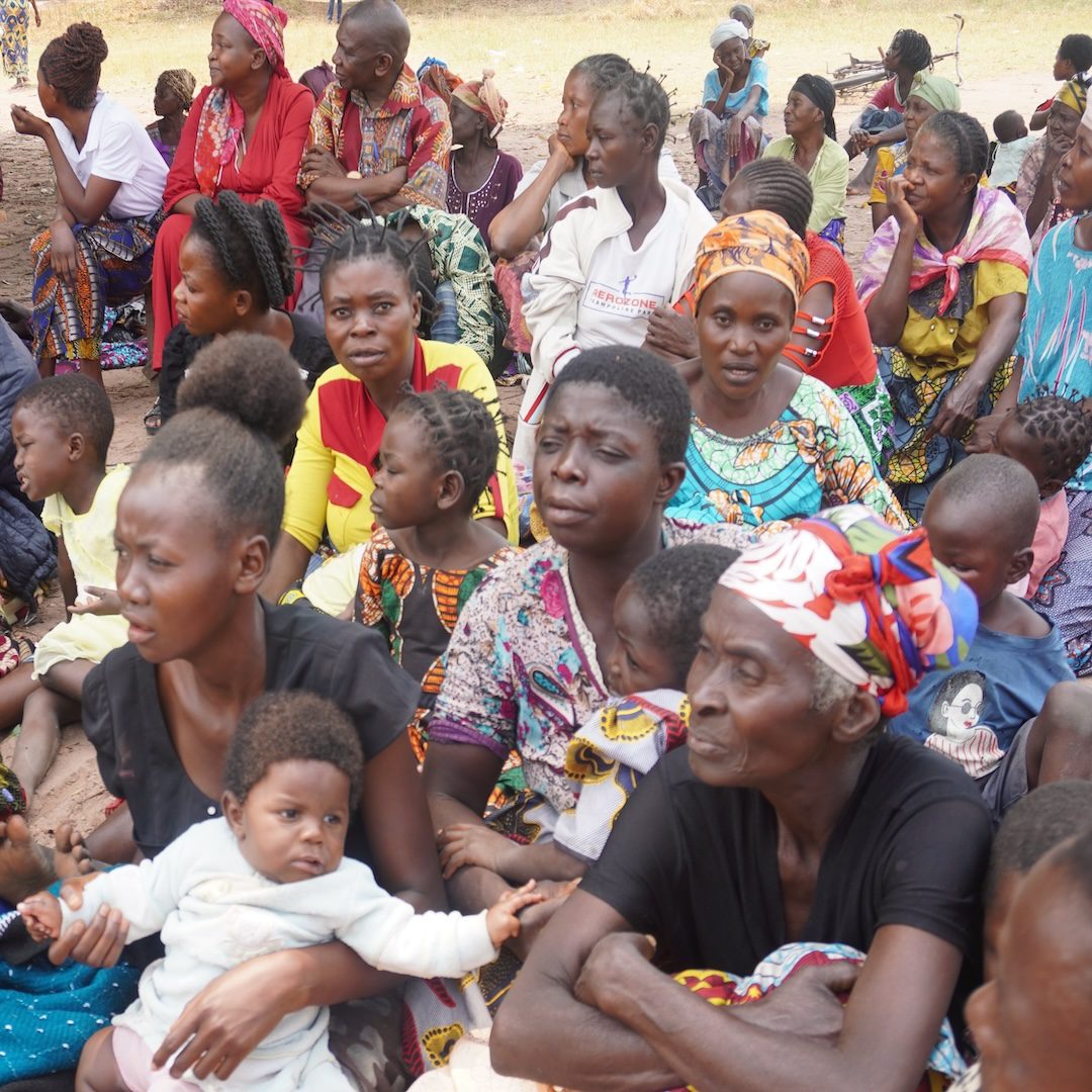 Malnourished Pregnant Women Program