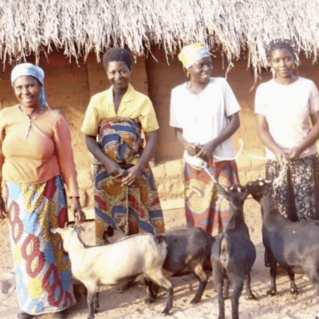 Screenshot 2026-02-25 at 4.08.43 PM